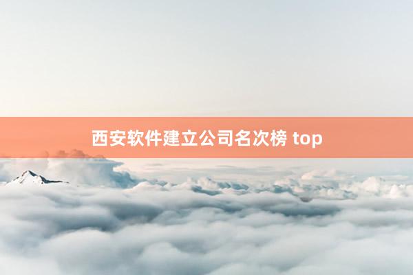 西安软件建立公司名次榜 top