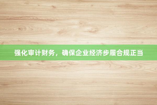 强化审计财务，确保企业经济步履合规正当