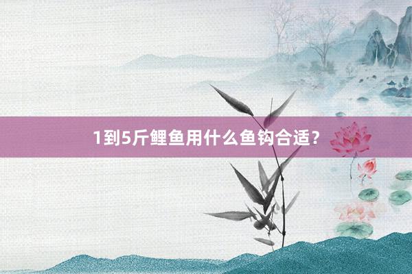 1到5斤鲤鱼用什么鱼钩合适？