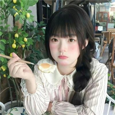 狗狗与我的十个约定