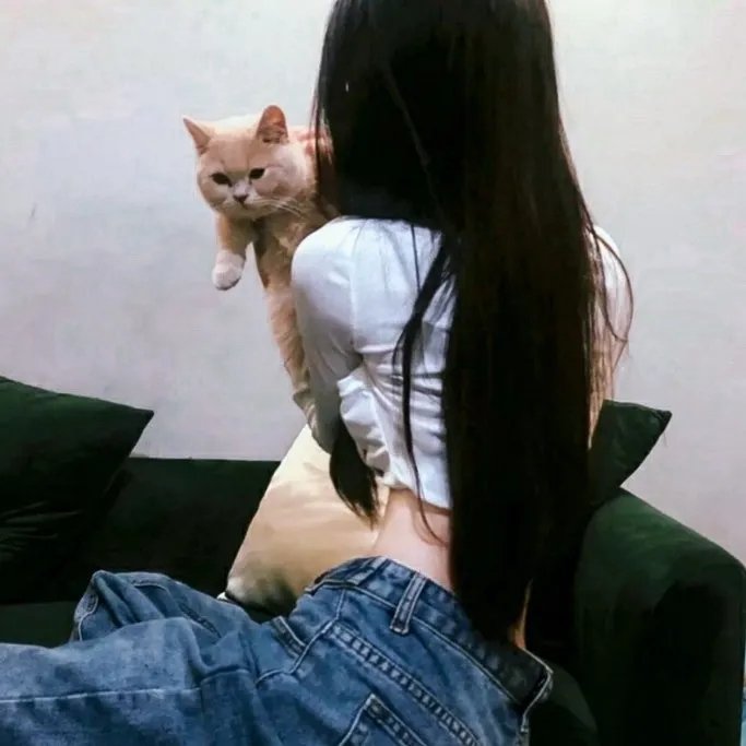 纽约黑帮
